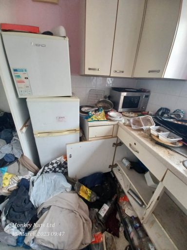 Extreme cleaning services
