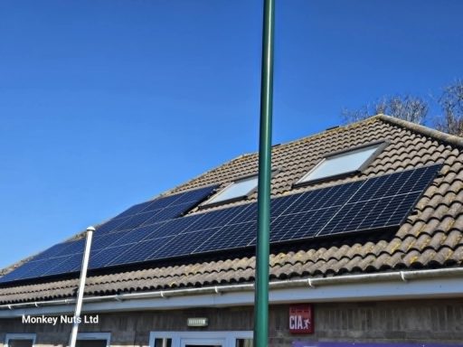Solar panel cleaning services in Bognor