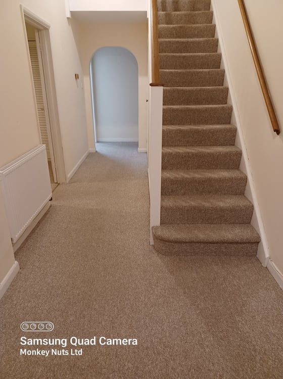 Carpet cleaners in Bognor Regis