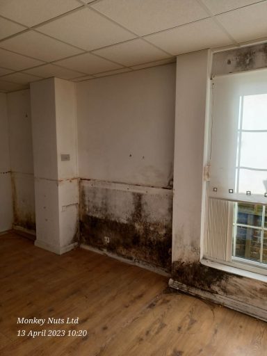 Mould cleaning services in Bognor and Chichester