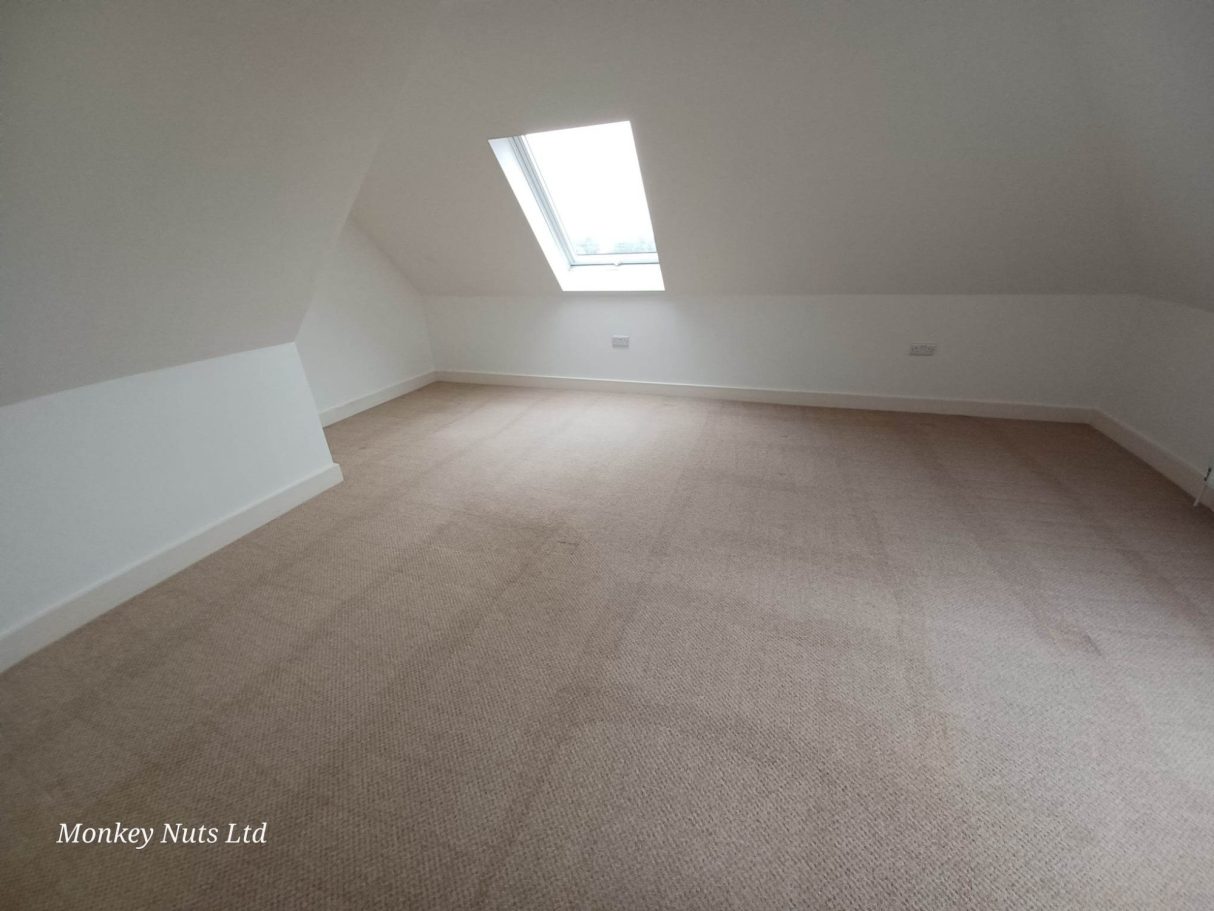 Carpet cleaners in Chichester