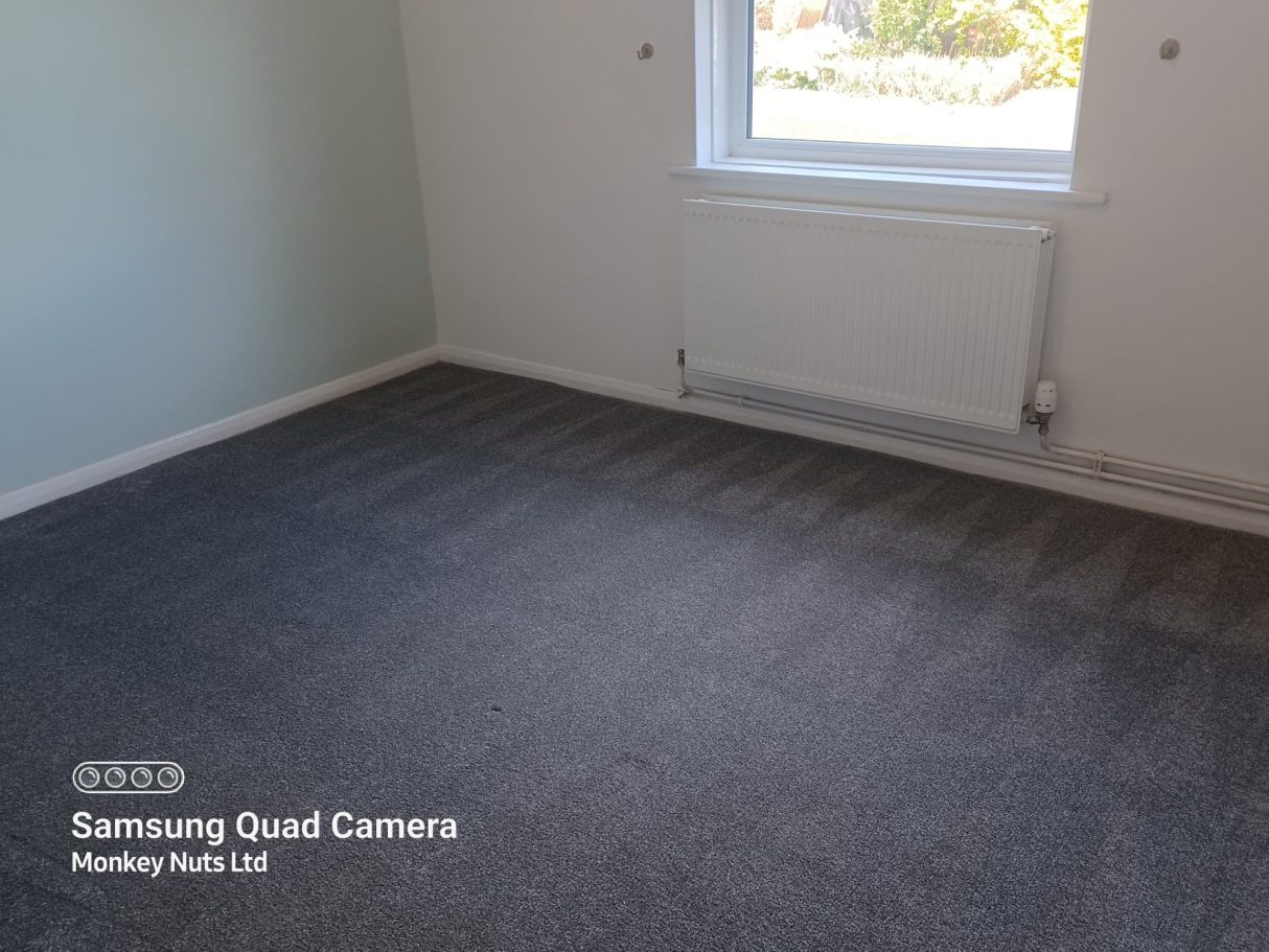 Carpet cleaning in Bognor Regis
