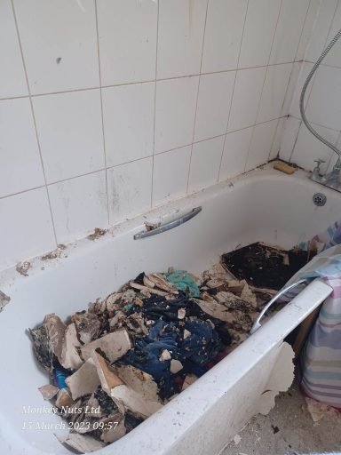 Extreme cleaning services