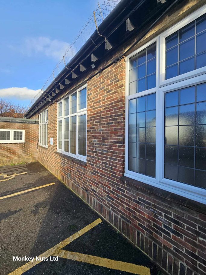 Window cleaning services in Bognor