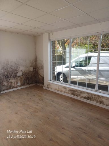 Bio-hazard & mould cleaning services