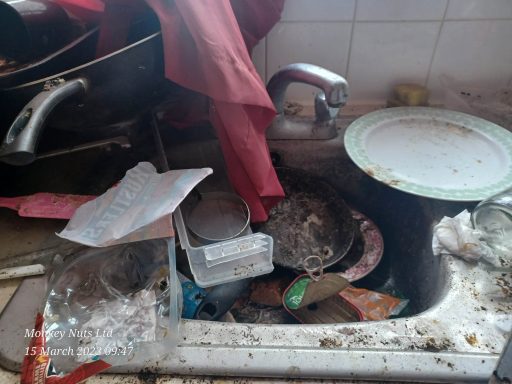 Extreme cleaners in Bognor and Chichester