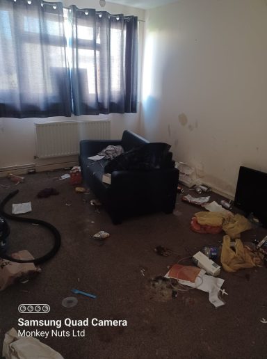 Extreme and hoarder cleaning services